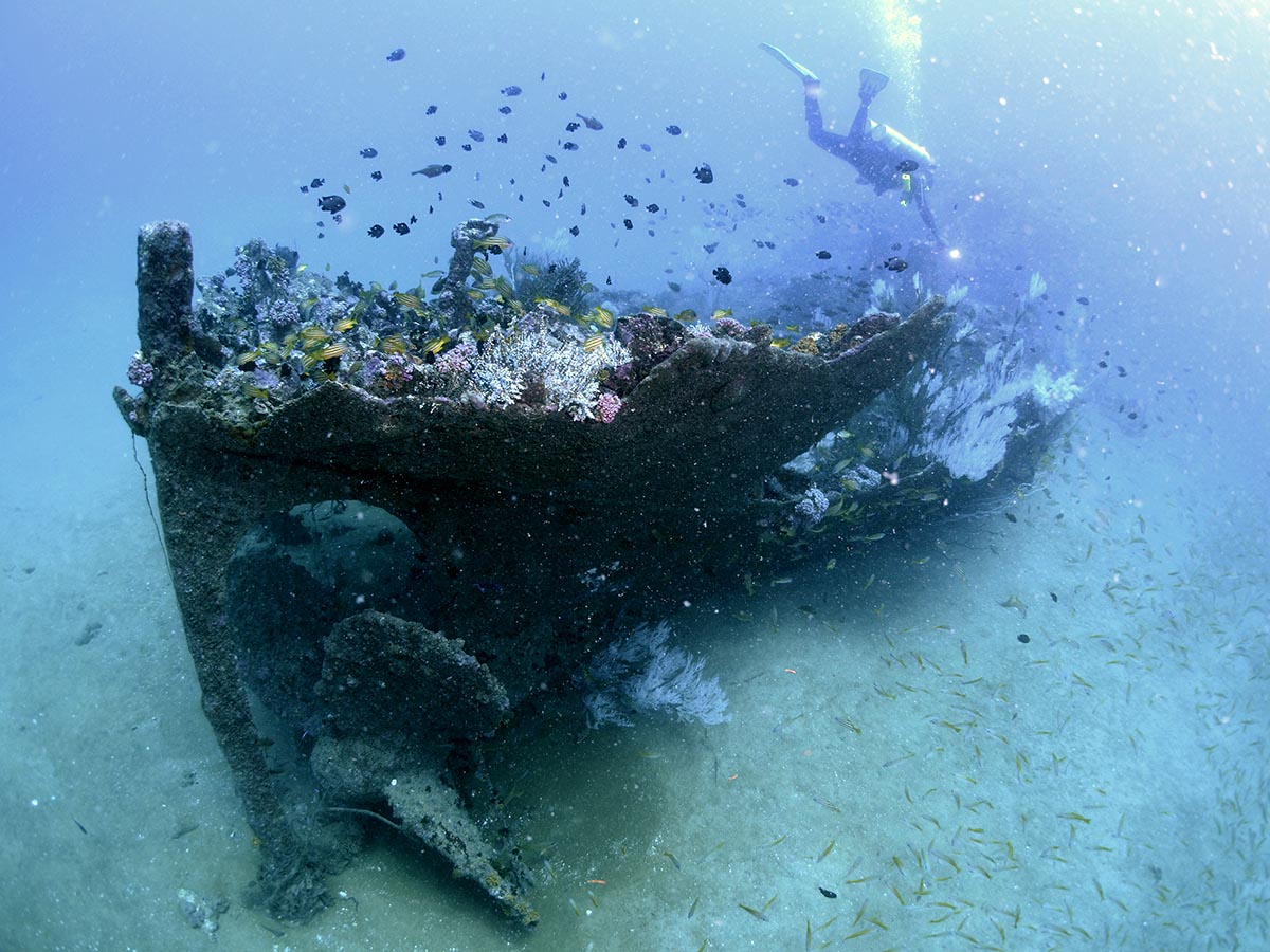 Stern end